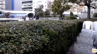 欧美freesex黑人又粗又大长